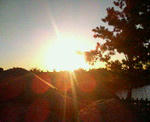 200811240042000.jpg
