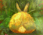200811262046000.jpg