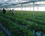20081230153811.jpg