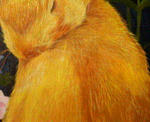 200902010039000.jpg