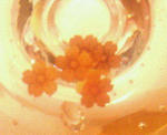 200903222348000.jpg