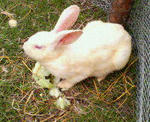 200905132201000.jpg