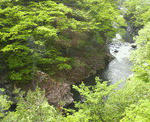 200905132202000.jpg