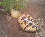 200907120037000.jpg