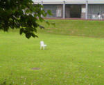 200907120038000.jpg