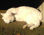 20091028143604.jpg