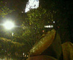 200911231319000.jpg