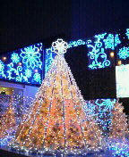 200911231323000.jpg