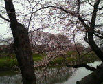 201003291651000.jpg