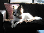 IMG_1728.JPG