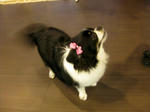 IMG_7546.JPG