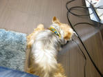 IMG_7919.JPG