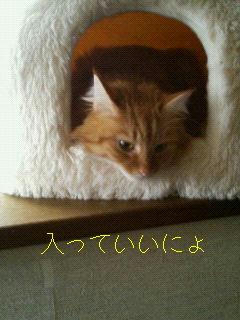 f01fb190.JPG