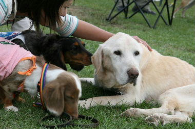 img20071004_6.jpg