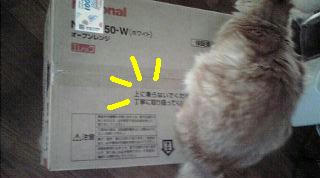 20081111142031.jpg
