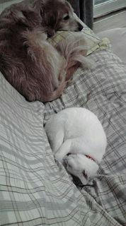 20081112143631.jpg
