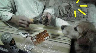 20081116173617.jpg