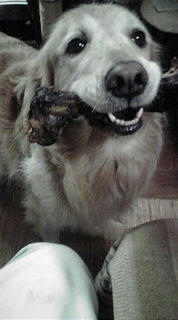 20081116173751.jpg
