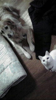 20081119180358.jpg