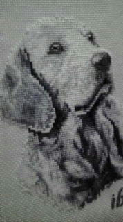 20081205073249.jpg