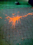 KC350174.JPG