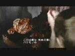 2.flv_002127058.jpg