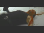 5.mp4_000628920.jpg