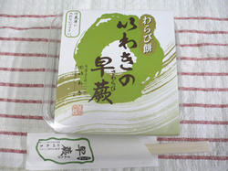 いわきの早蕨