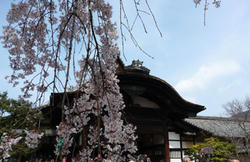 三宝院