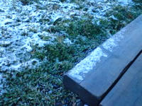 081125_080501_0001.jpg