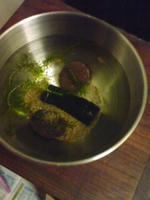 081026_185202.jpg