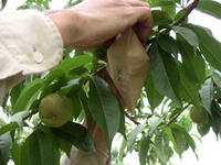 200806253.jpg