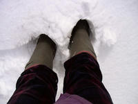 200802242_3-1.jpg