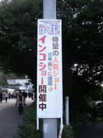 1207b.jpg