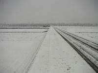 PICT0100.JPG