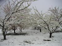 PICT0102.JPG