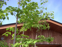 0508b.jpg