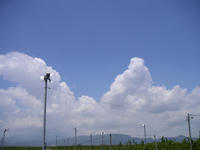 0605d.jpg