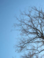 110407.jpg