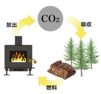 carbon.jpg
