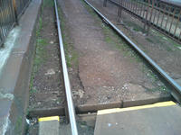 RDSC00341.jpg