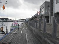 R0012017.jpg