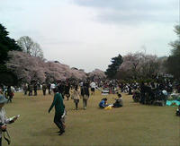 R20090405125429.jpg