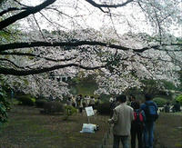 R20090405130329.jpg