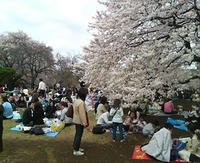 R20090405130523.jpg