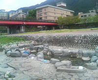 20090421103718.jpg