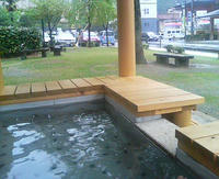 20090421171924.jpg