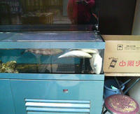 20090422130036.jpg