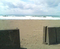20090423133929.jpg