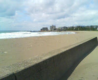 20090423133946.jpg